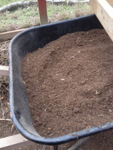 IMG_5009.JPG IMG_5009.JPG