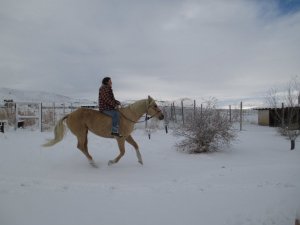IMG_0113.JPG