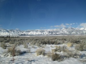 IMG_0178.JPG