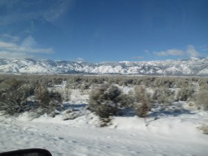 IMG_0176.JPG