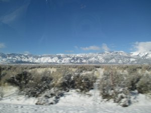 IMG_0175.JPG