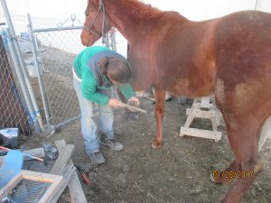 IMG_0435.JPG