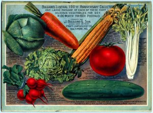 Seed Catalog 1918.jpg