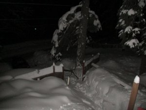 IMG_0200.JPG