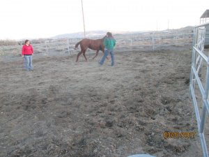 IMG_0530.JPG
