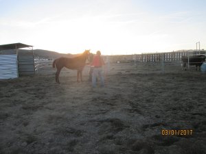 IMG_0533.JPG