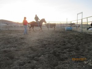 IMG_0540.JPG