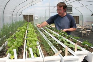 Hort Farm - herbs.jpg