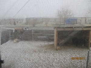 IMG_0269.JPG