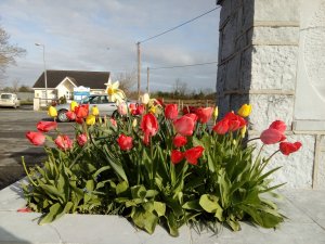 IMG_20170404_092334.jpg