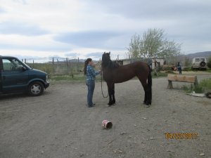IMG_0346.JPG