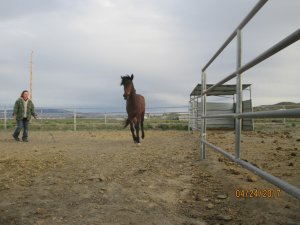 IMG_0382.JPG