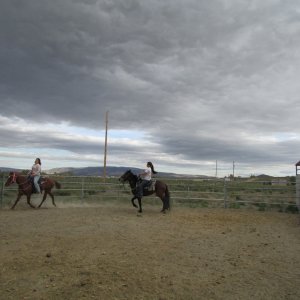 IMG_2382.JPG