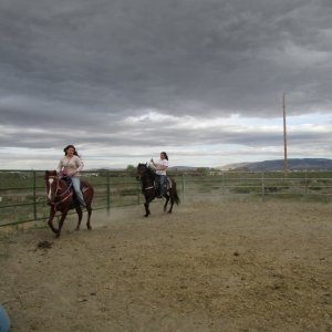 IMG_2383.JPG