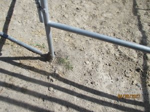 IMG_0392.JPG