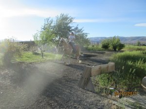 IMG_0401.JPG