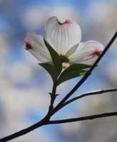 hhp (2)_edited-1.jpg