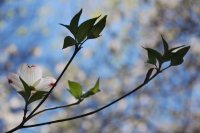 hhp (4)_edited-1.jpg