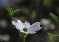 hhp (5)_edited-1.jpg