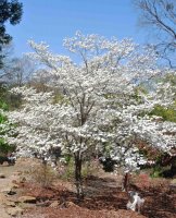 hhp (18)_edited-1.jpg