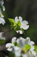 hhp (25)_edited-1.jpg