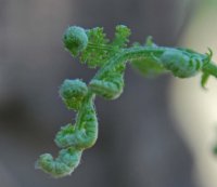 hhp (57)_edited-1.jpg