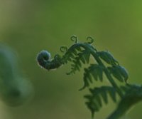 hhp (58)_edited-1.jpg