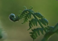 hhp (59)_edited-1.jpg