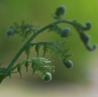 hhp (63)_edited-1.jpg