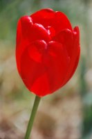 hhp (70)_edited-1.jpg