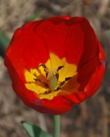 hhp (74)_edited-1.jpg