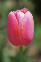 hhp (76)_edited-1.jpg