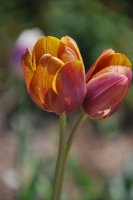 hhp (69)_edited-1.jpg