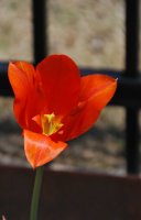 hhp (72)_edited-1.jpg