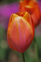 hhp (77)_edited-1.jpg