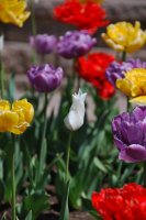 hhp (88)_edited-1.jpg