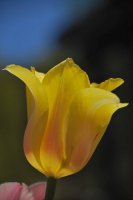 hhp (89)_edited-1.jpg