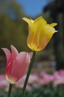 hhp (90)_edited-1.jpg