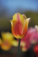 hhp (92)_edited-1.jpg