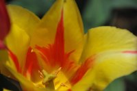 hhp (94)_edited-1.jpg