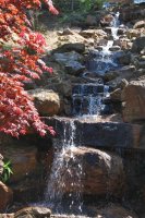 hhp (27)_edited-1.jpg