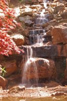 hhp (28)_edited-1.jpg