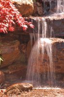 hhp (30)_edited-1.jpg