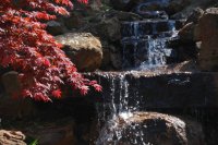 hhp (32)_edited-1.jpg