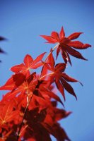 hhp (37)_edited-1.jpg