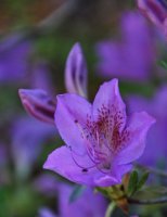 hhp (41)_edited-1.jpg