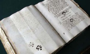 Pawprints-on-manuscript-008.jpg