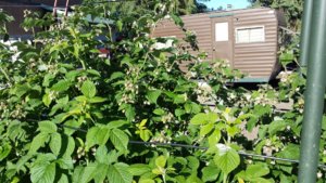 20170611_174131.jpg 20170611_174131.jpg