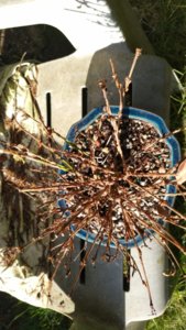 WP_20170620_17_50_24_Pro.jpg
