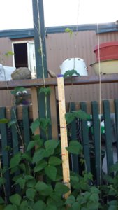 20170623_183614.jpg 20170623_183614.jpg